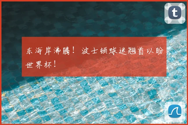东海岸沸腾！波士顿球迷翘首以盼世界杯！